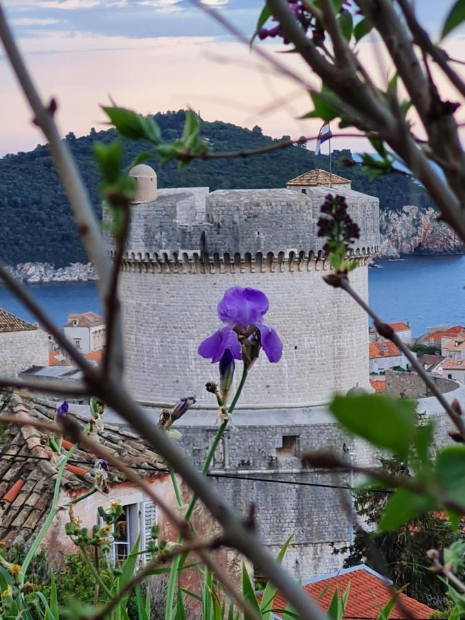 Bruana 5 Dubrovnik