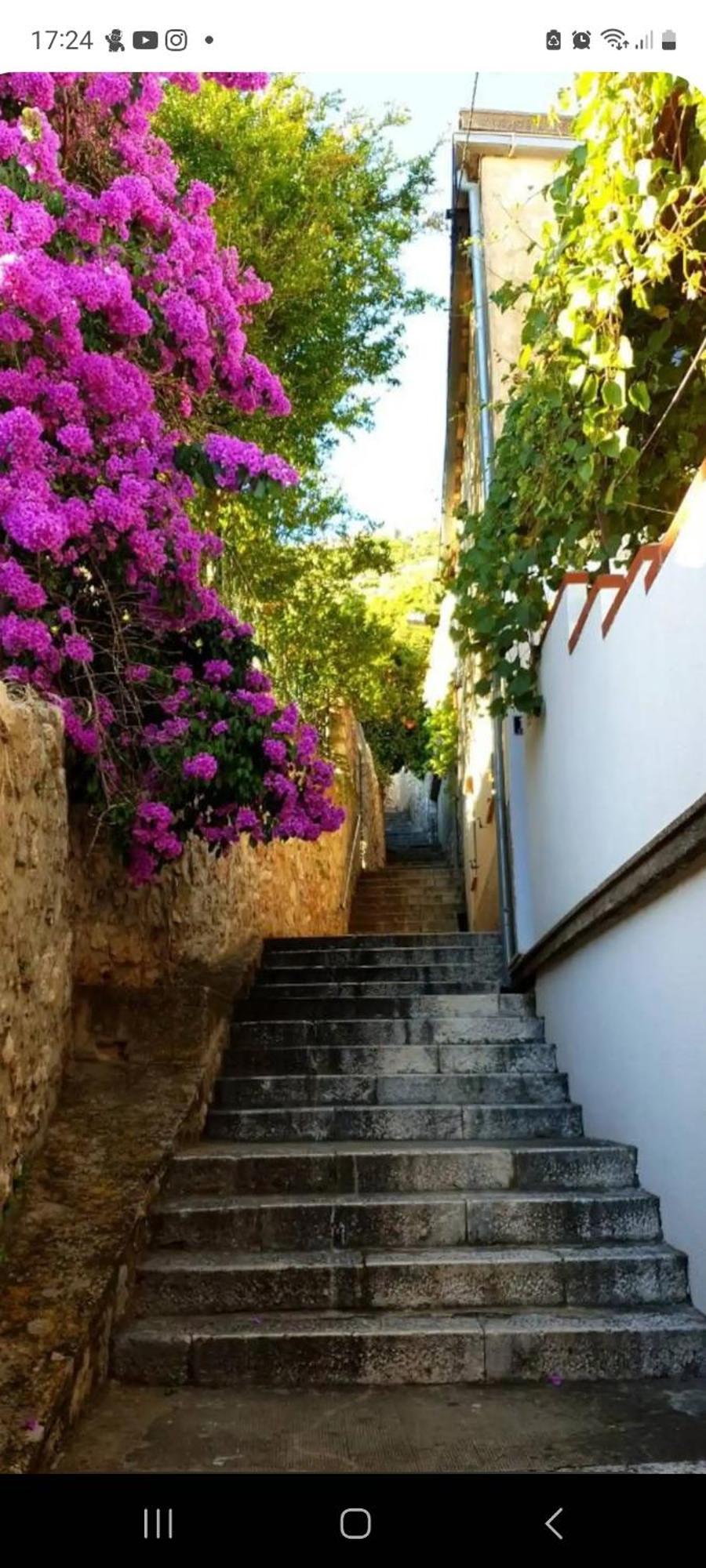 Bruana 5 * Dubrovnik